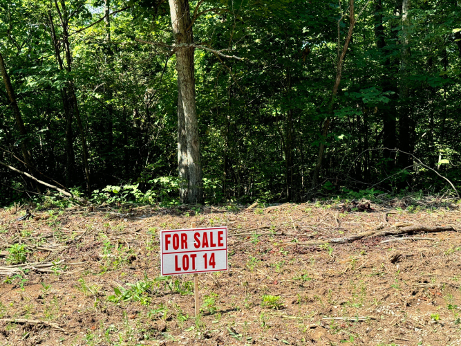 Listing Image 19