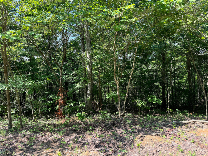 Listing Image 24