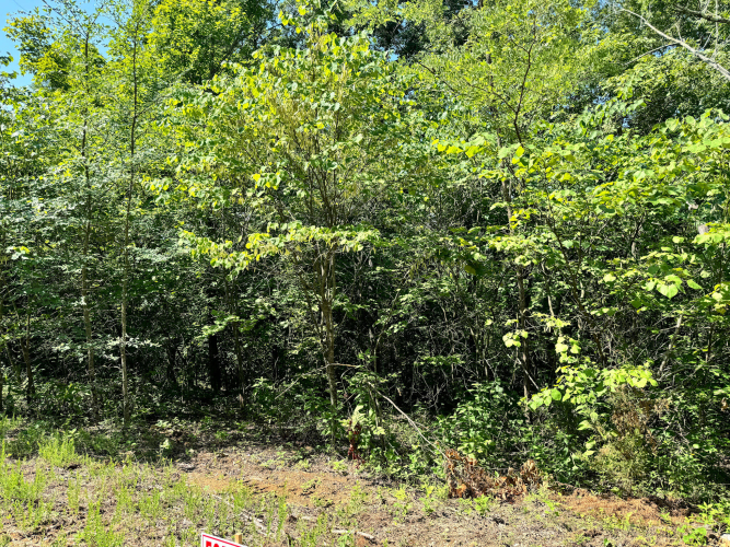 Listing Image 26