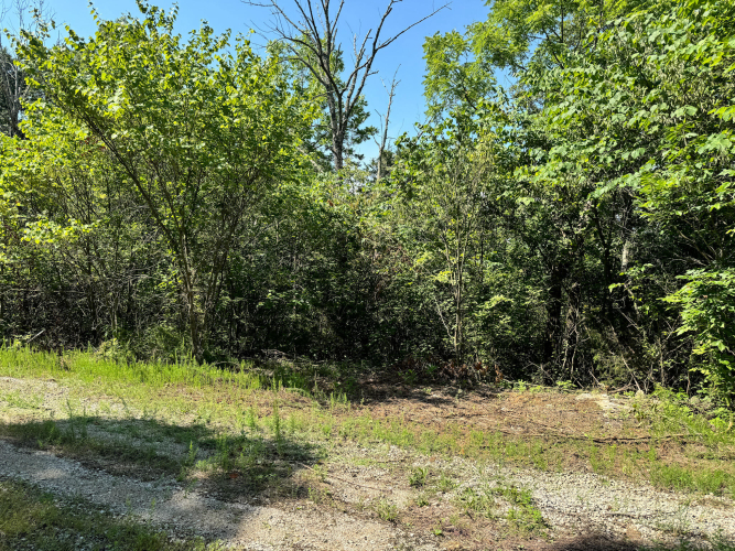Listing Image 28