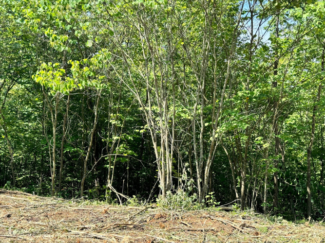 Listing Image 30