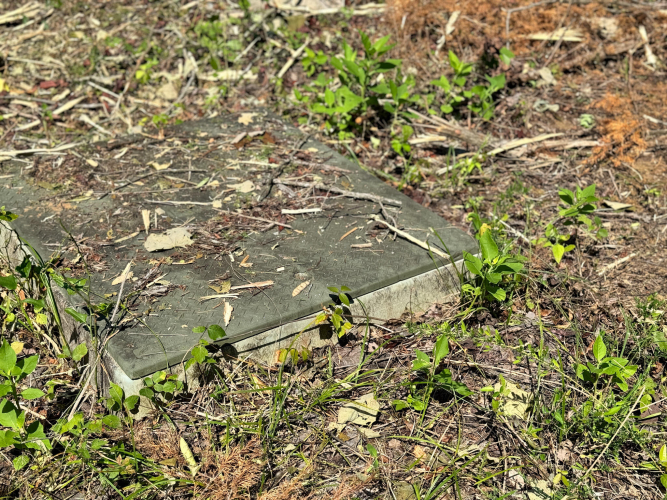 Listing Image 32