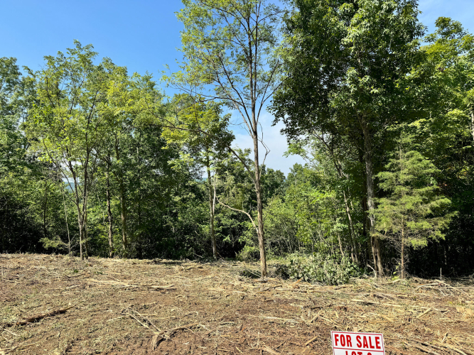 Listing Image 34