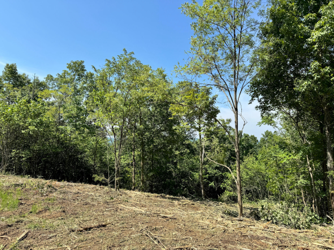 Listing Image 35