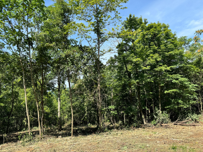 Listing Image 37
