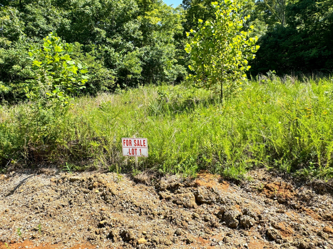 Listing Image 39