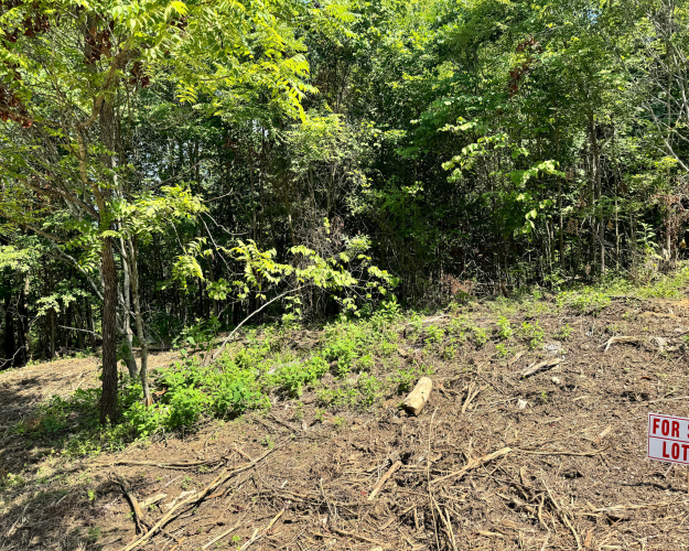 Listing Image 41