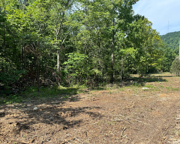 Listing Image 45