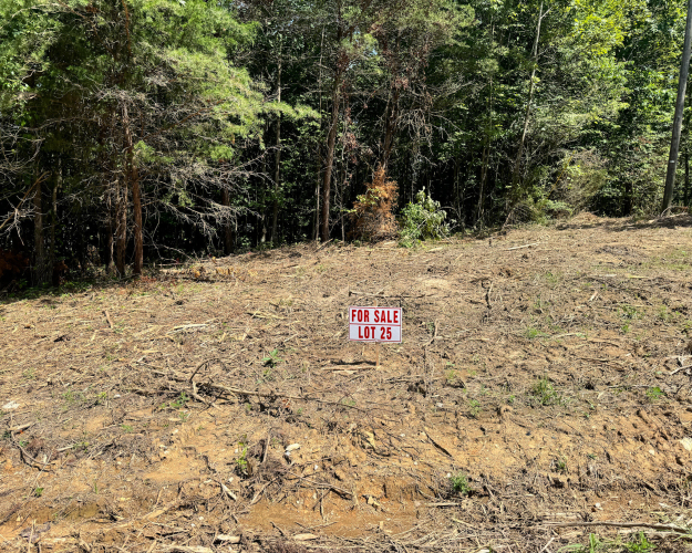Listing Image 46
