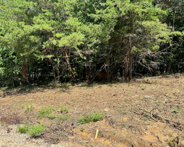 Listing Image 47