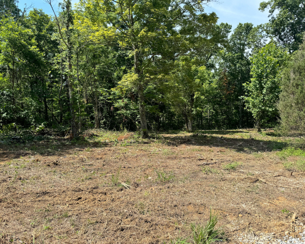 Listing Image 49