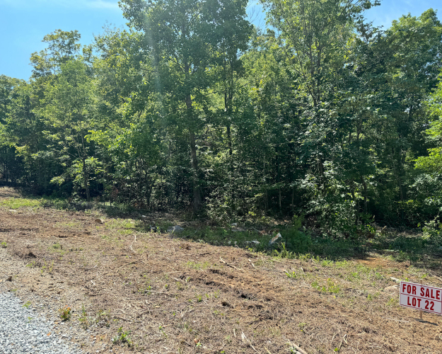 Listing Image 50