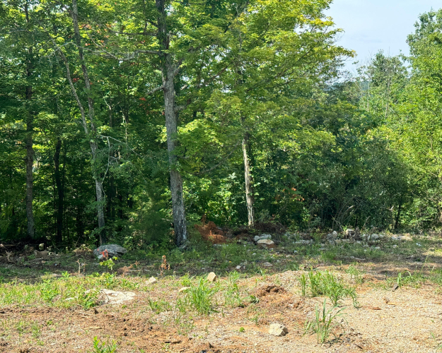Listing Image 52