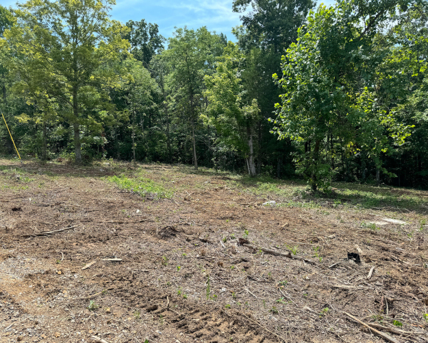 Listing Image 54