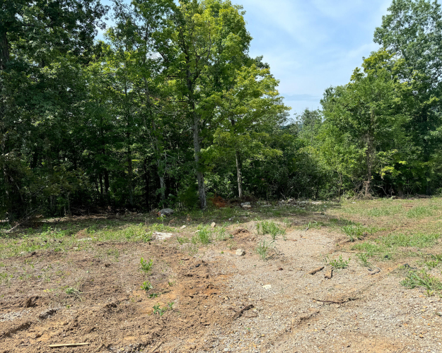 Listing Image 55