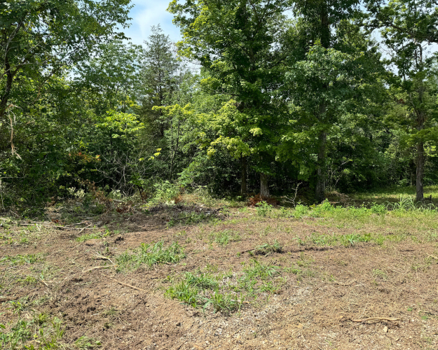 Listing Image 58