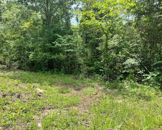Listing Image 61