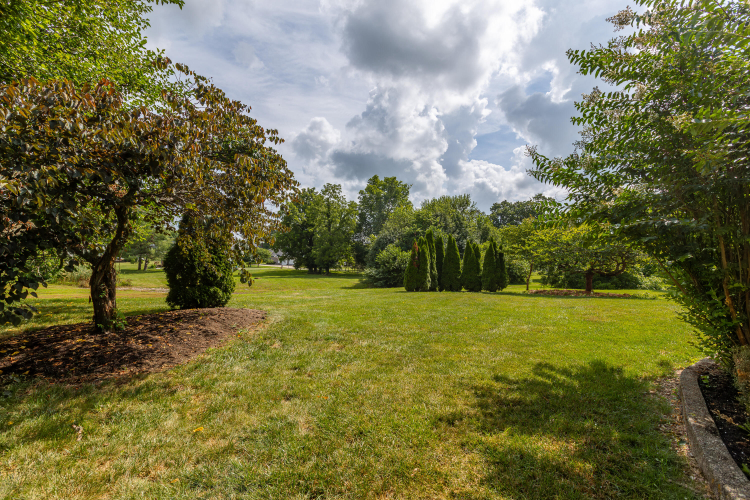 Listing Image 62