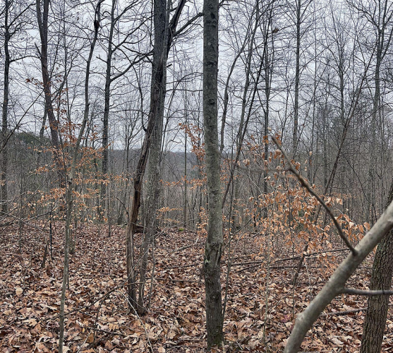 Listing Image 6