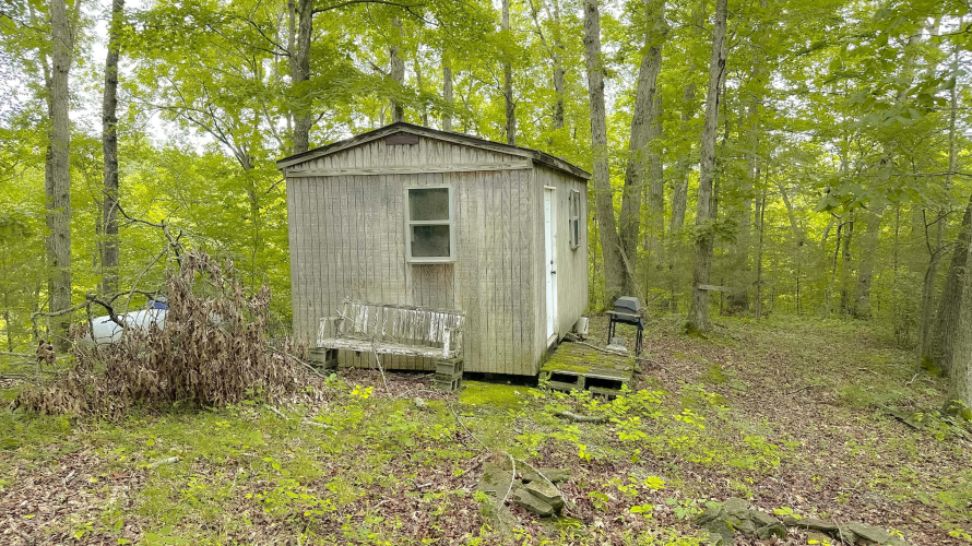 Listing Image 12