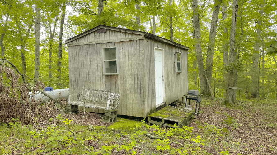Listing Image 14