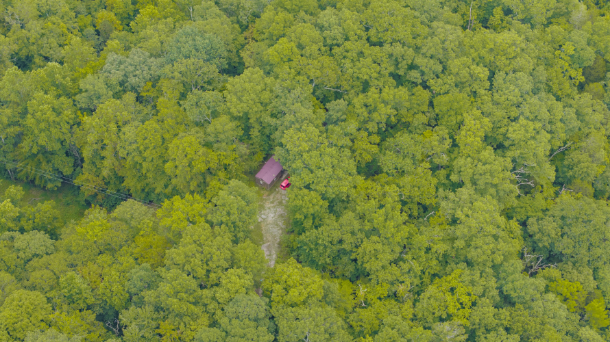 Listing Image 23