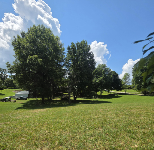 Listing Image 13