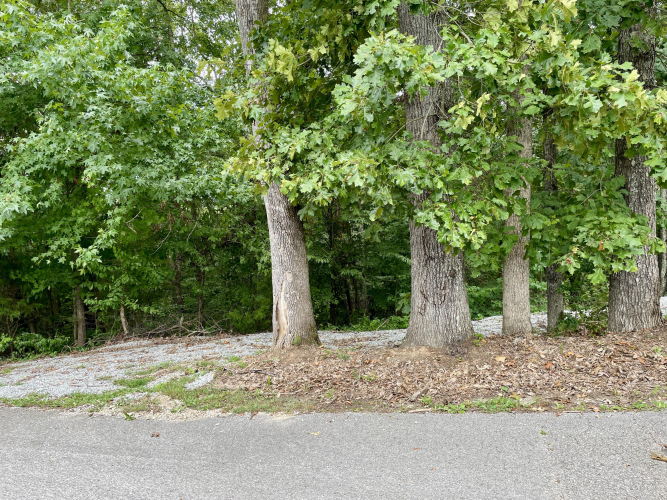Listing Image 33