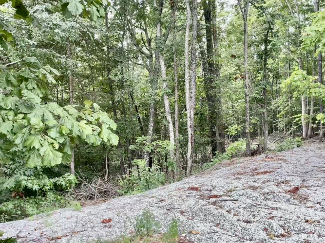 Listing Image 37