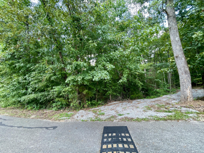 Listing Image 38