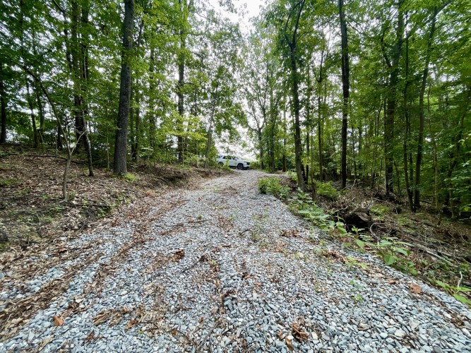 Listing Image 41