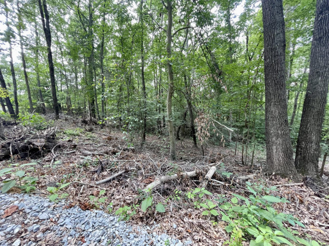 Listing Image 42