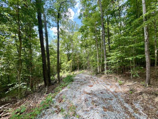 Listing Image 45
