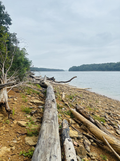 Listing Image 47