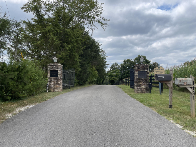 Listing Image 51