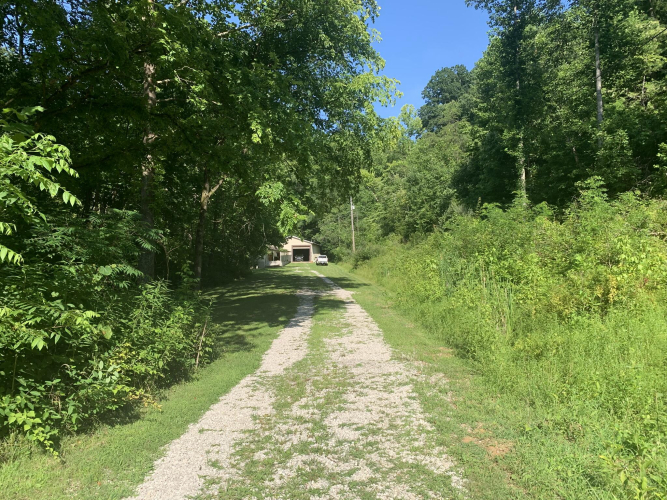 Listing Image 14