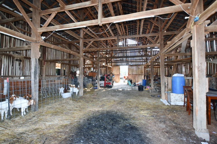Listing Image 38