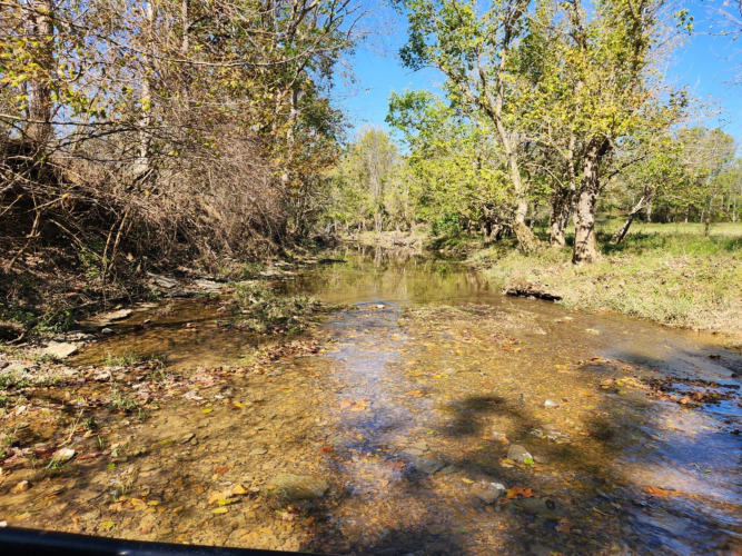 Listing Image 42