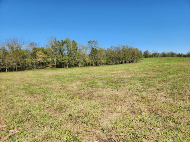 Listing Image 46
