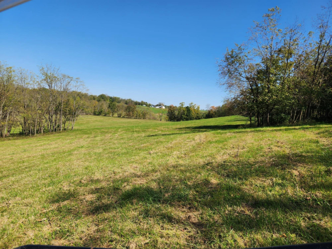 Listing Image 48
