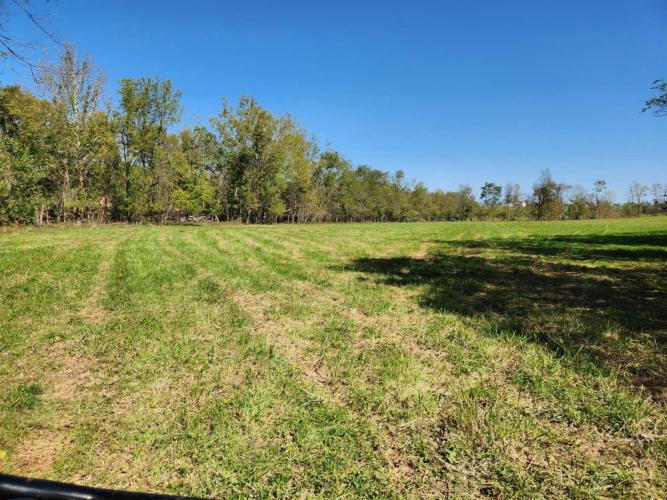 Listing Image 50