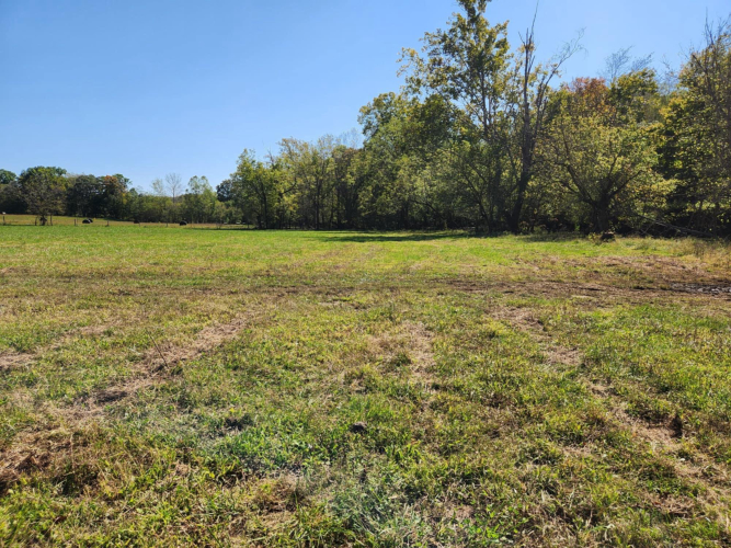 Listing Image 52