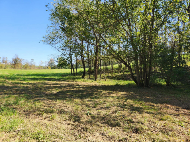 Listing Image 53