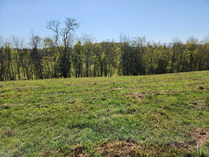 Listing Image 55