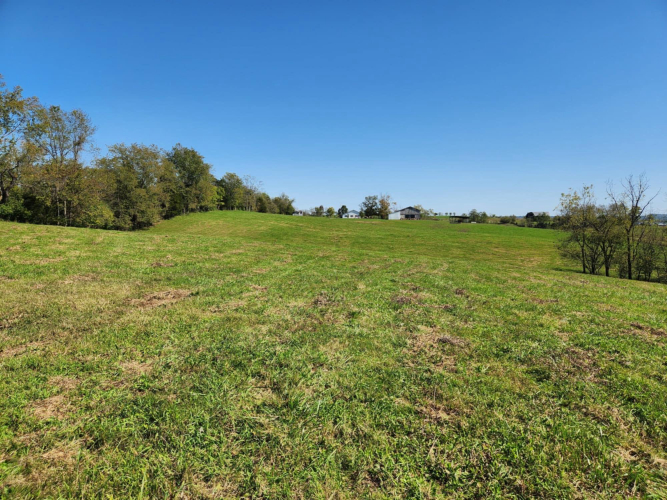 Listing Image 56