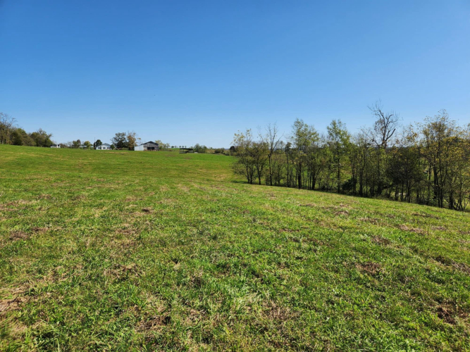 Listing Image 57