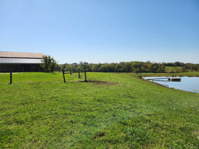 Listing Image 58