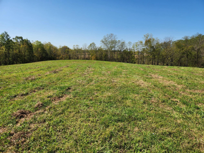 Listing Image 59