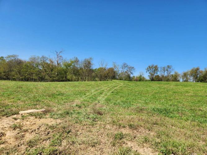 Listing Image 61