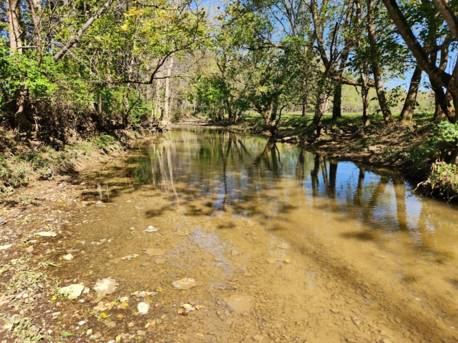 Listing Image 62